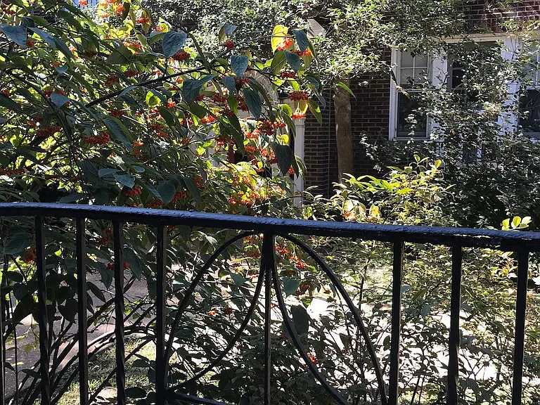 There is a Juliet balcony in each living room.