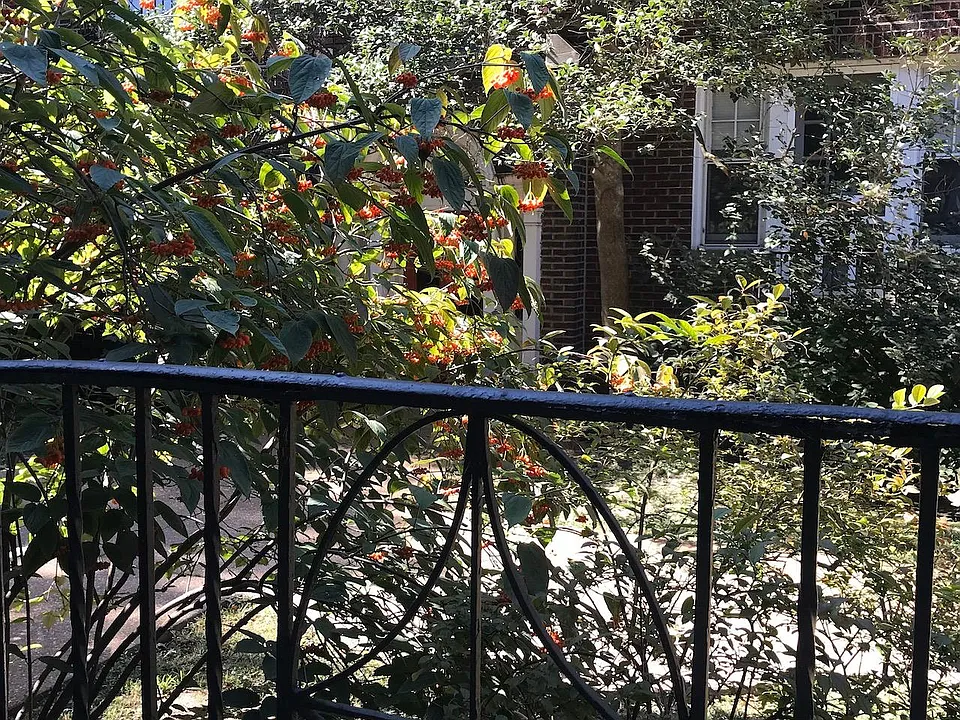 There is a Juliet balcony in each living room.