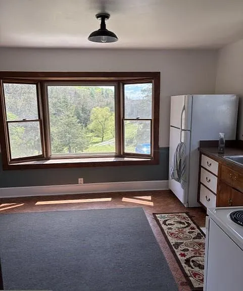 306 Tonys Hollow Ln — Photo 4