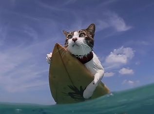 1193 Brent Rd, Dinuba, CA 93618