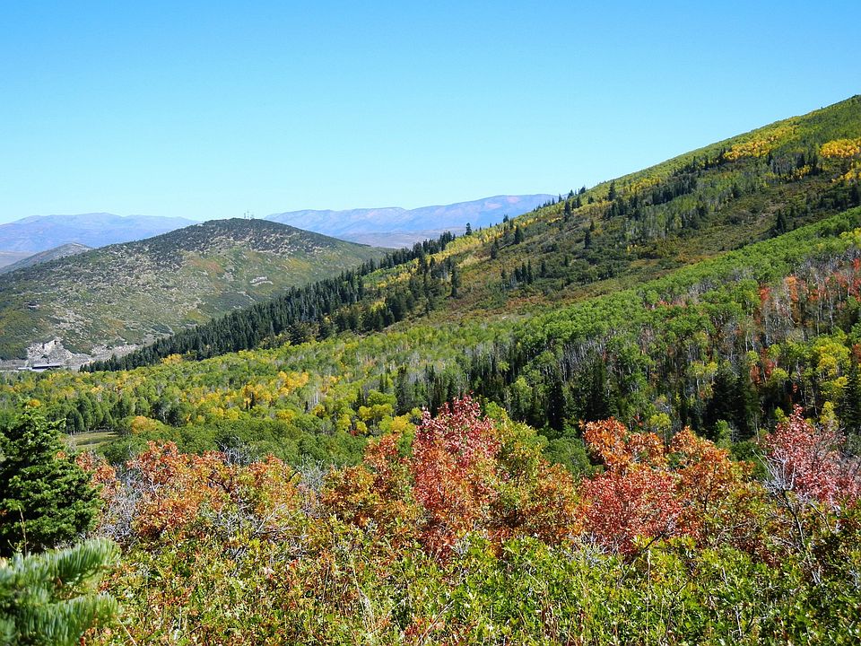 1st image of 4 White Pine Canyon Rd