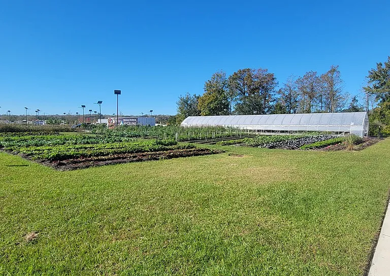 10083 Gentle Rain Dr — Photo 22