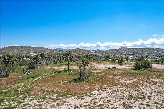 Buena Vista Dr — Photo 10