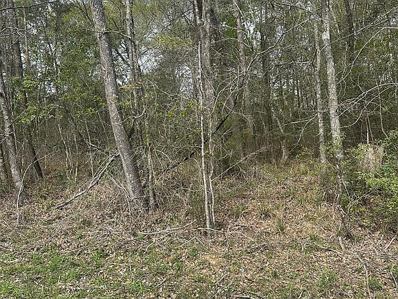 4th image of 0 Cedar Valley Lot 73A