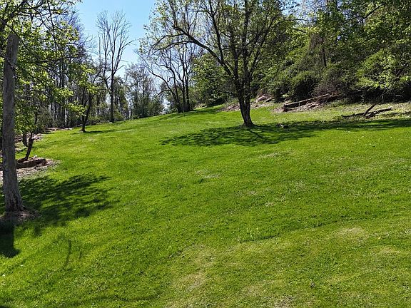 5th image of 0 Goose Run Rd
