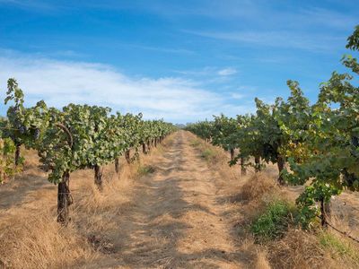 9373 E Orchard Rd, Acampo, CA, 95220