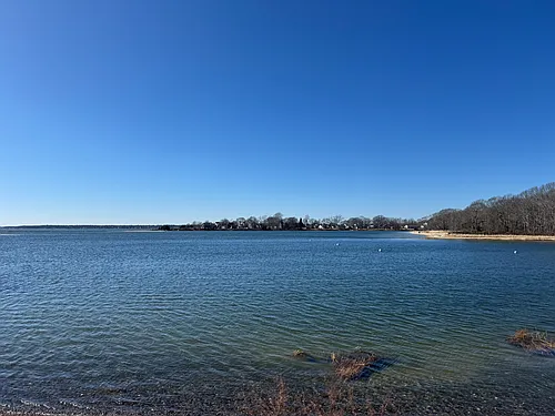 215 Ottawa Ave #215 Photo 1