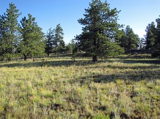 2841 Singletree Rd, Hartsel, CO 80449