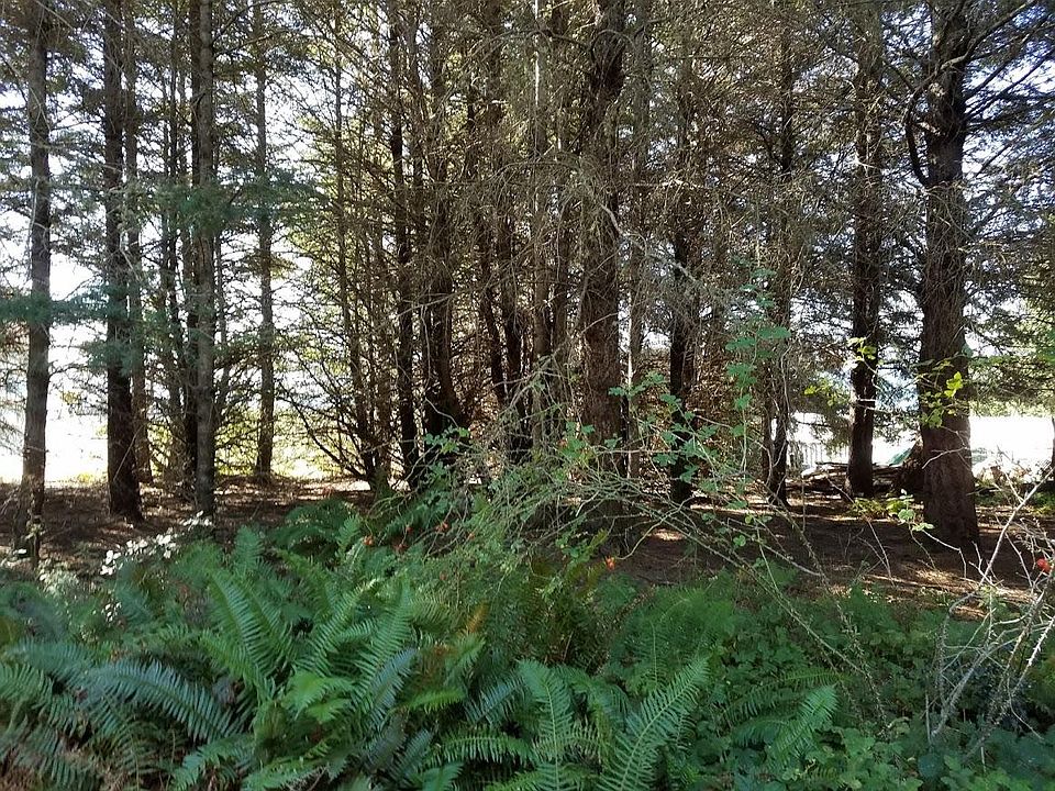 2nd image of 26 Bambi Dr