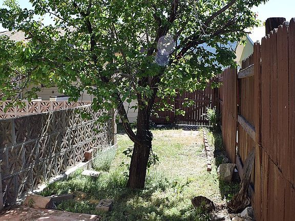 Back yard along fence