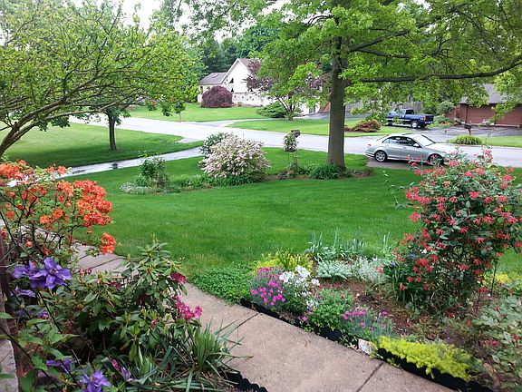 front yard -walkway to house