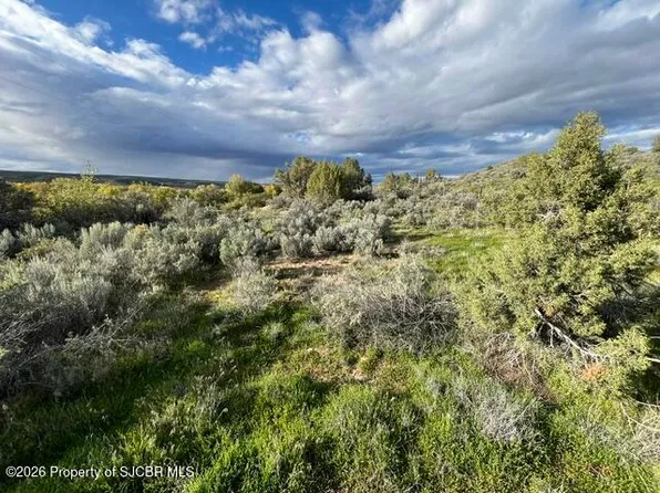 Xx Nm 170, La Plata, NM 87418