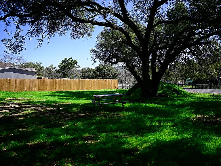 909 Pine Eagle Ln — Photo 16