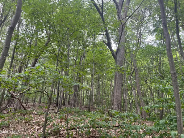 LOT 35 Timberman, Claysburg, PA 16625