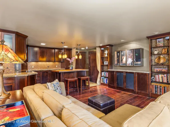 935 E Hopkins Ave #4, Aspen, CO 81611