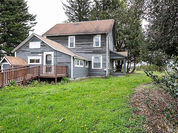 Westerly view of homestead surrounded by old growth Holly Trees and Pink Rhododendrons