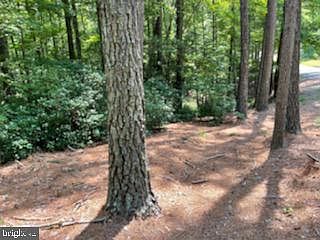 5th image of Hillcrest Ct