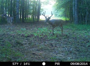 1800 Law Rd, Lexington, TN 38351