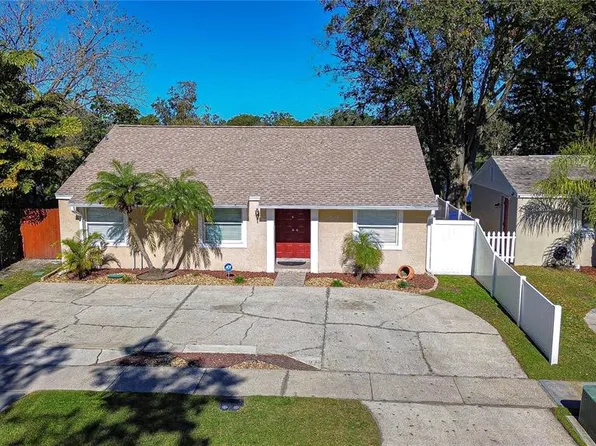 3223 Sandspur Dr, Tampa, FL 33618