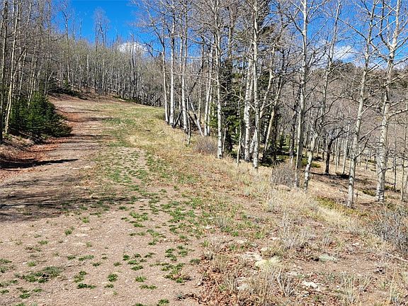 2nd image of 00 Kasihta Trail