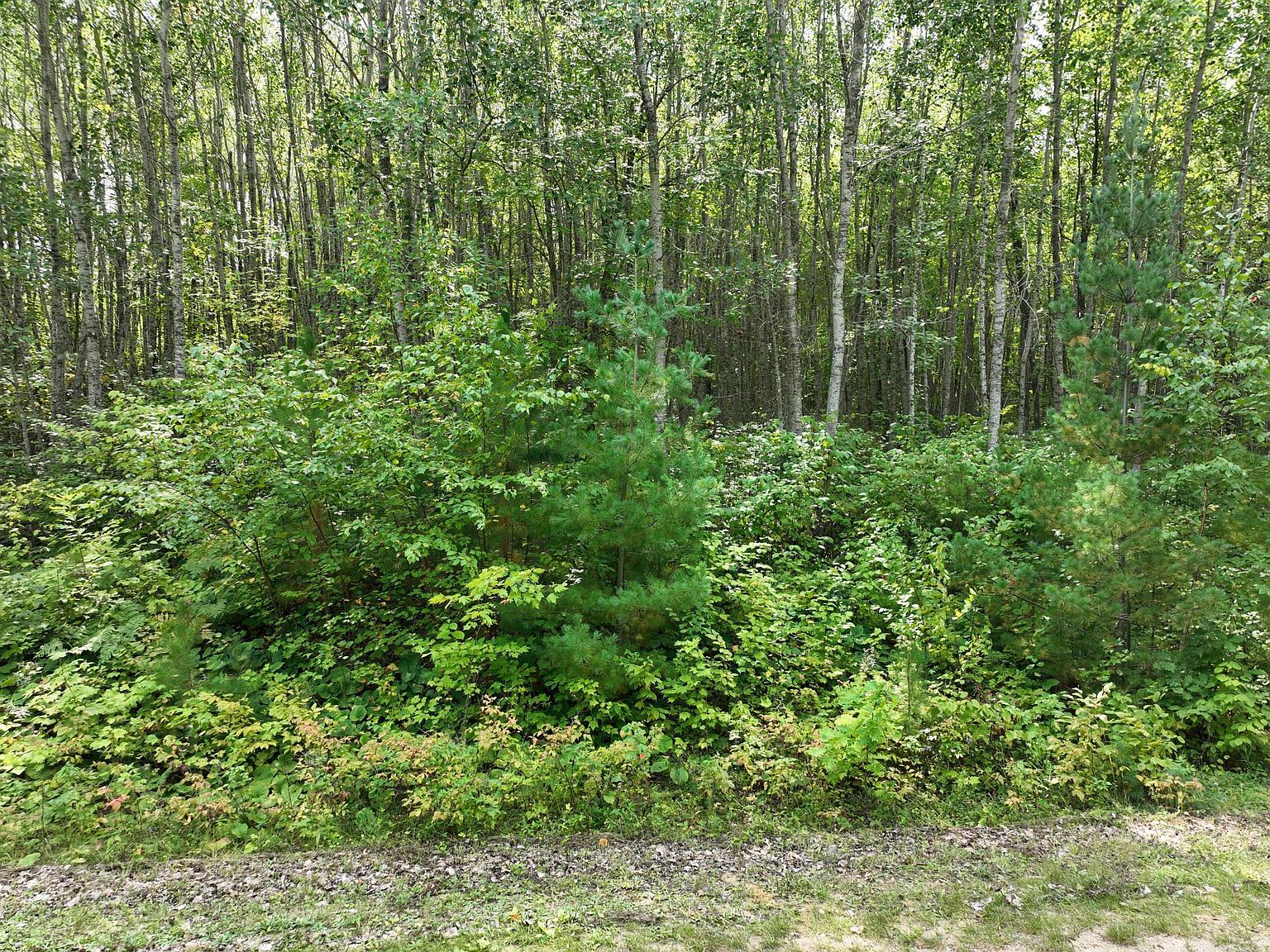 Tbd Hillsdale Way NW, Walker, MN 56484 Zillow