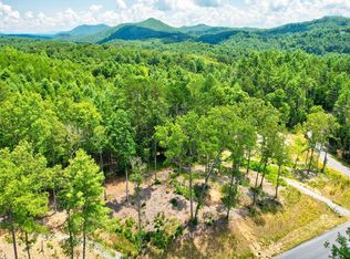 2 Laurels Of Blue Rdg, Mineral Bluff, GA 30559