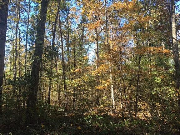 3rd image of Brown Creek Dr