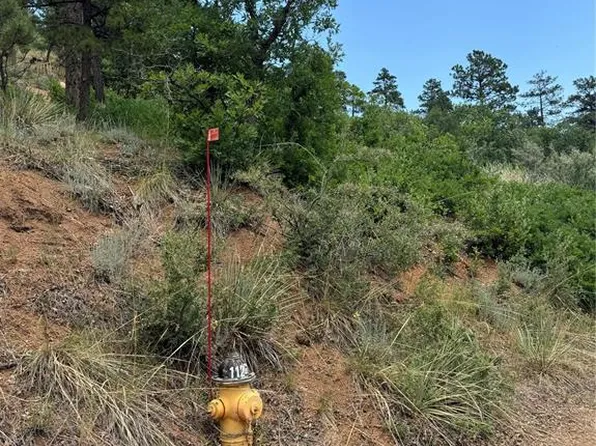 10730 Florence Ave, Green Mountain Falls, CO 80819