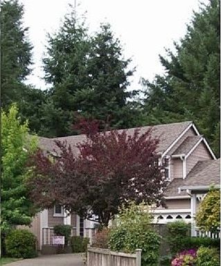1st image of 5029 Chambers Creek Loop SE