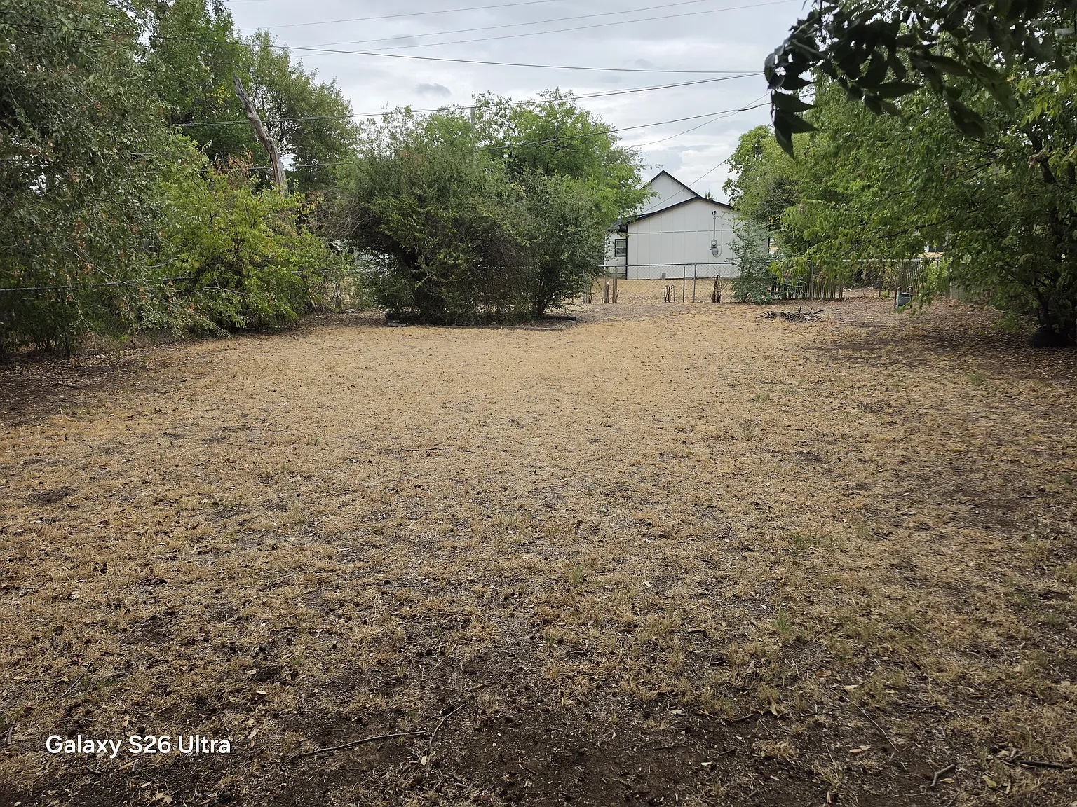 3 bed, 1.5 bath, 952 sqft, $1,275 — Photo 3