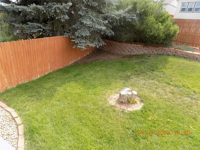 10785 Appaloosa Ct — Photo 16