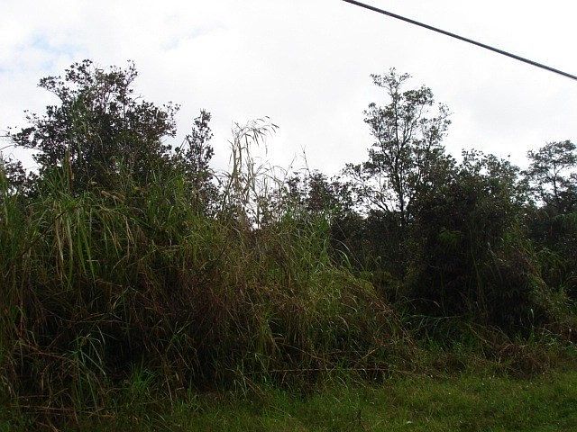 1st image of Lehua St Lot 6951