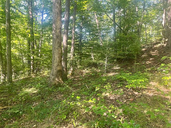 3rd image of 68356 State Route 124