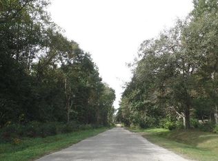 5736 San Flora Ave, Ravenel, SC 29470