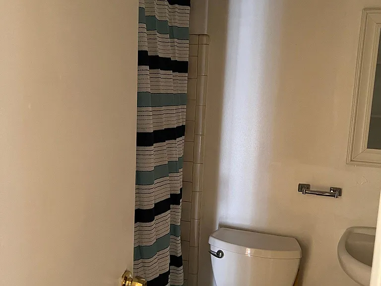 401 Pinelea Rd — Photo 176