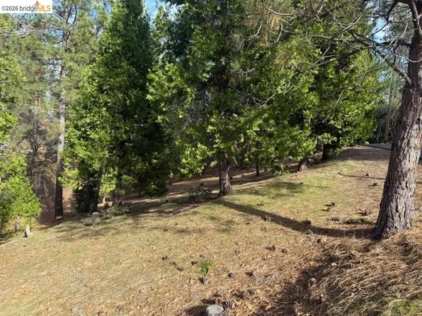 12037 Breckenridge Rd, Groveland, CA 95321