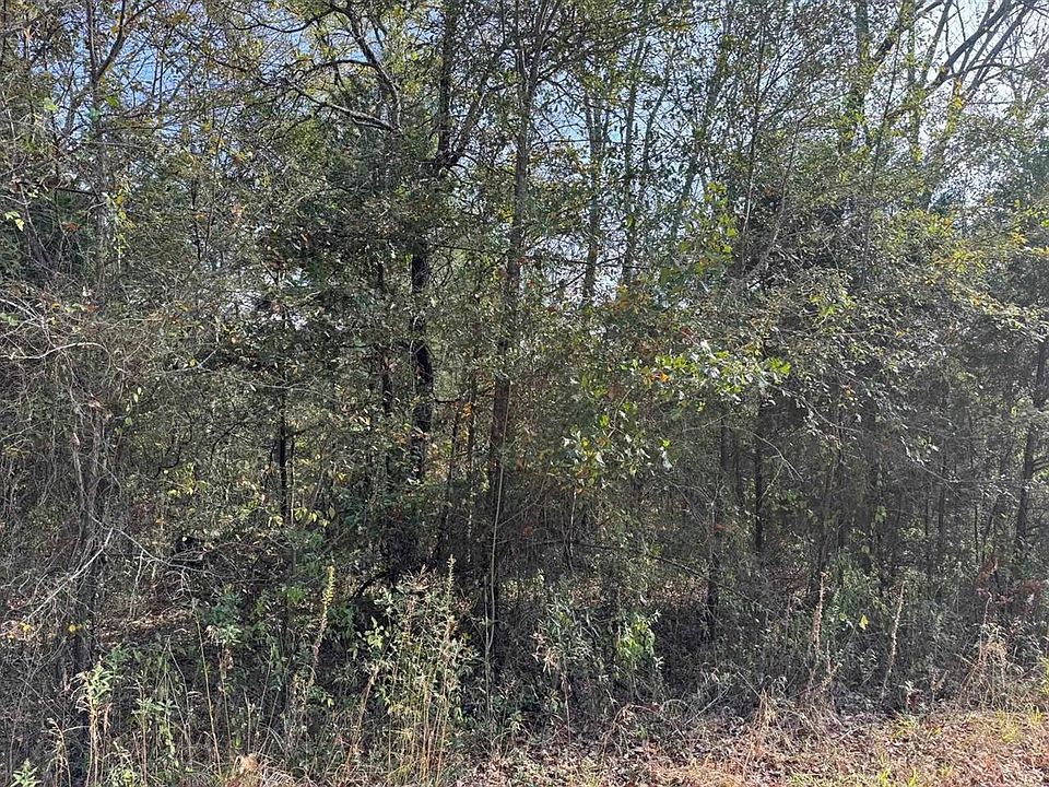 2nd image of 150 Buffalo Springs Rd