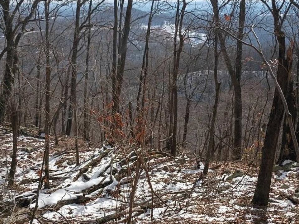 2nd image of 135 Aces Rd