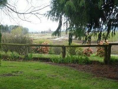 View of Backyard