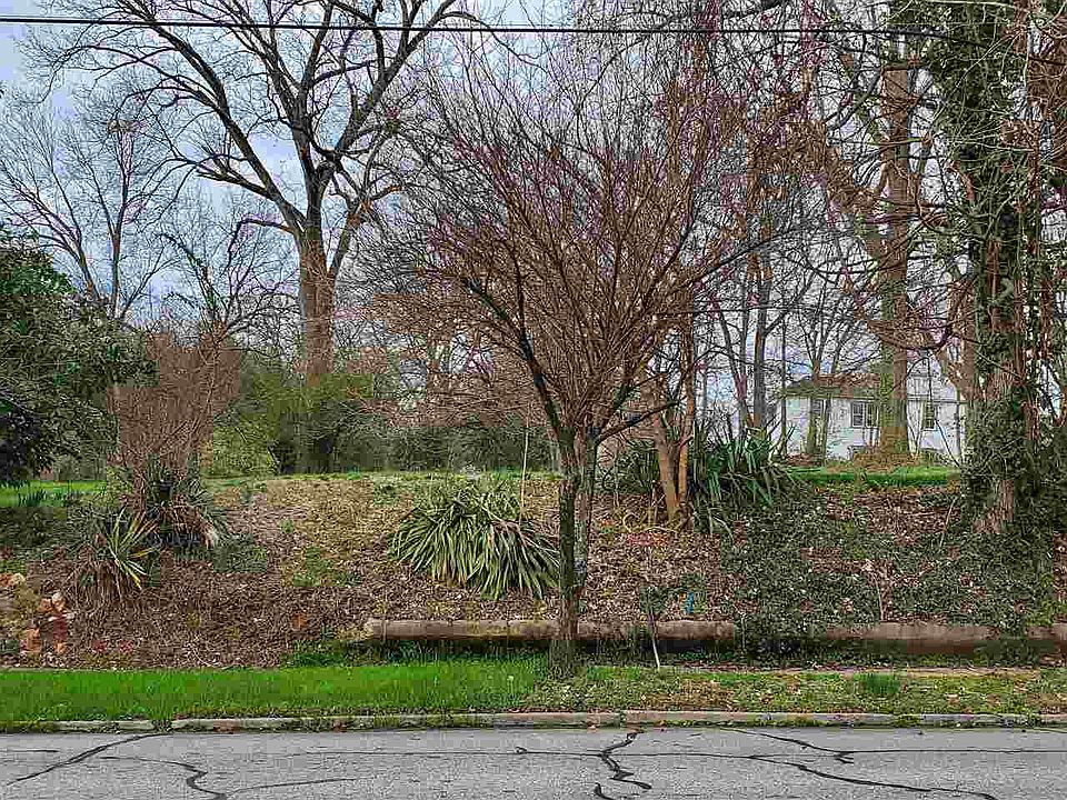 1st image of LOT 1 E Davis St #1