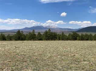 645 Rudisill St, Fairplay, CO 80440