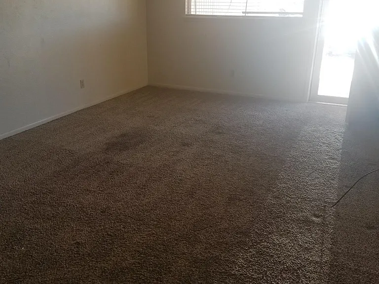 800 Sycamore St — Photo 11