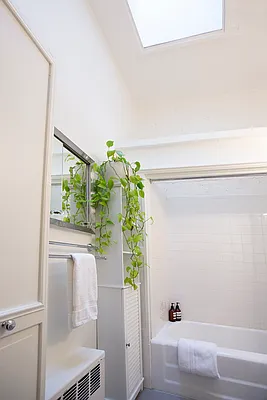 Rented by Compass | media 6