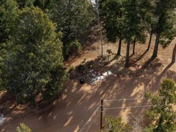 41 Tecumseh Ln, Woodland Park, CO 80863