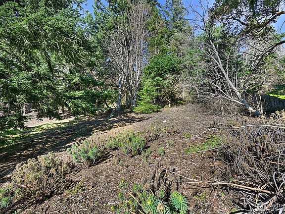 5th image of 405 Arbutus Place