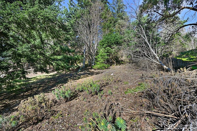 5th image of 405 Arbutus Place