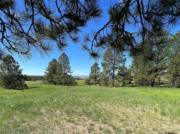 10290 Democrat Road, Parker, CO 80134