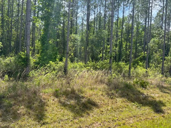 SE Ebenezer Rd Lot 8, Lake City, FL 32025