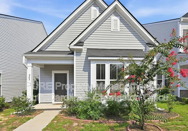 803 Lachicotte Creek Dr — Photo 1