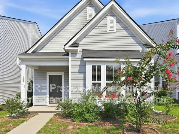 803 Lachicotte Creek Dr, Charleston, SC 29492